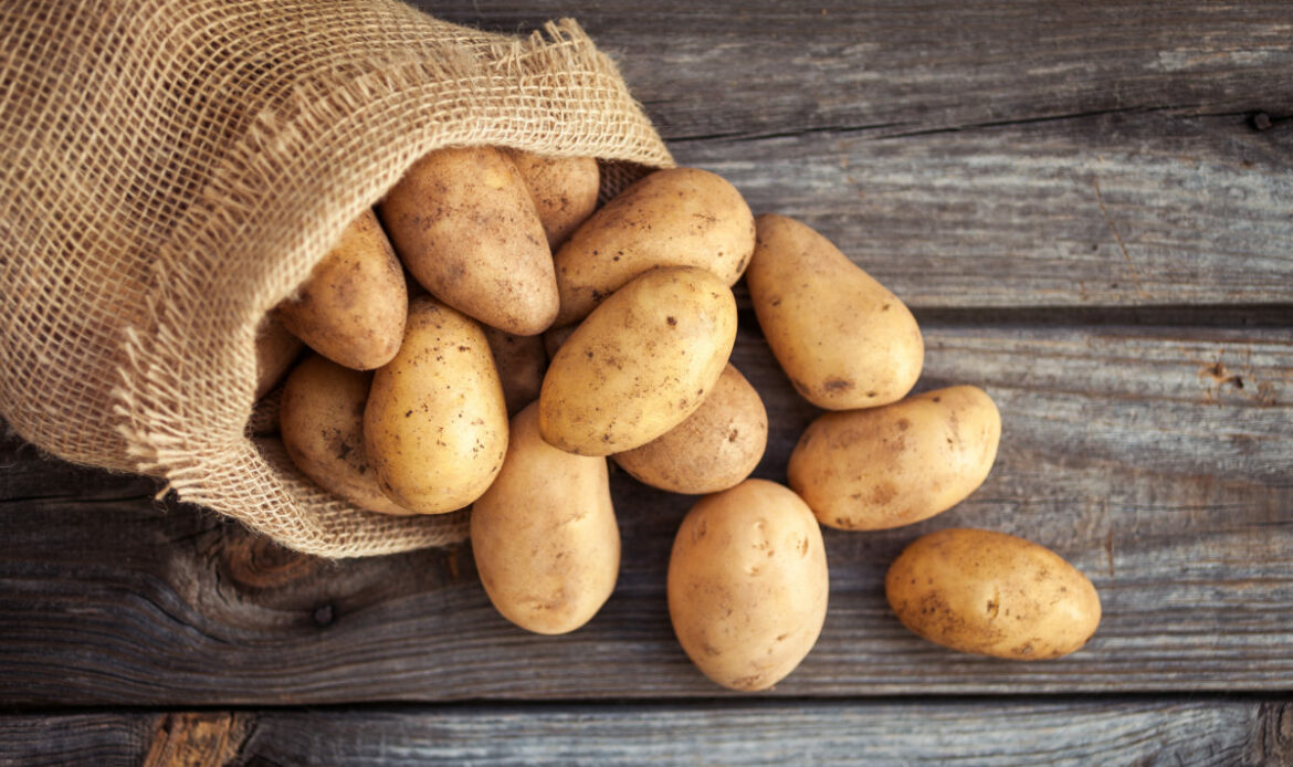 Determinate and indeterminate potatoes, explained