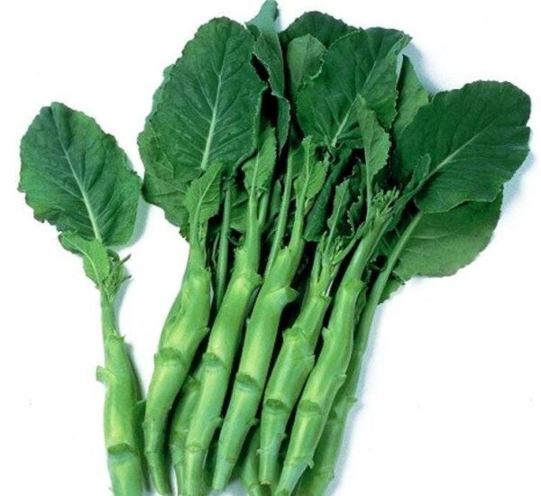 How to Grow Chinese Broccoli (Brassica oleracea)