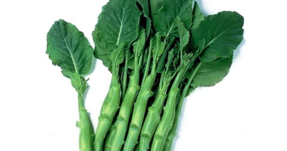 How to Grow Chinese Broccoli (Brassica oleracea)