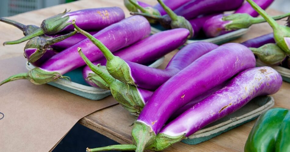 How to Grow Japanese Eggplant for a Successful Harvest