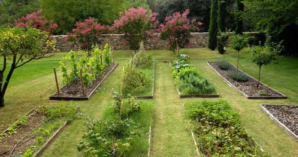 Quick Tip: Pick the Right Garden Location