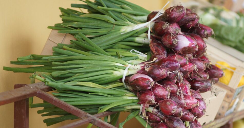 What is a Tropea onion?