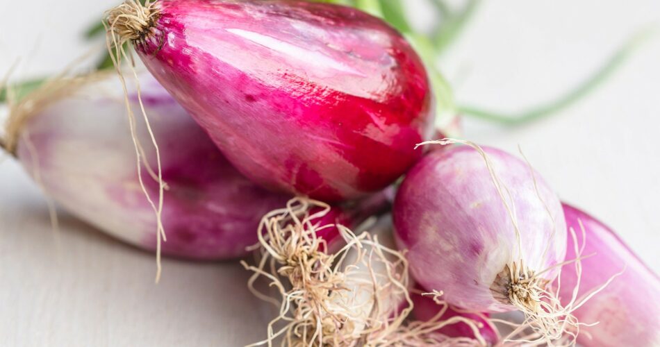 What is a Tropea onion?