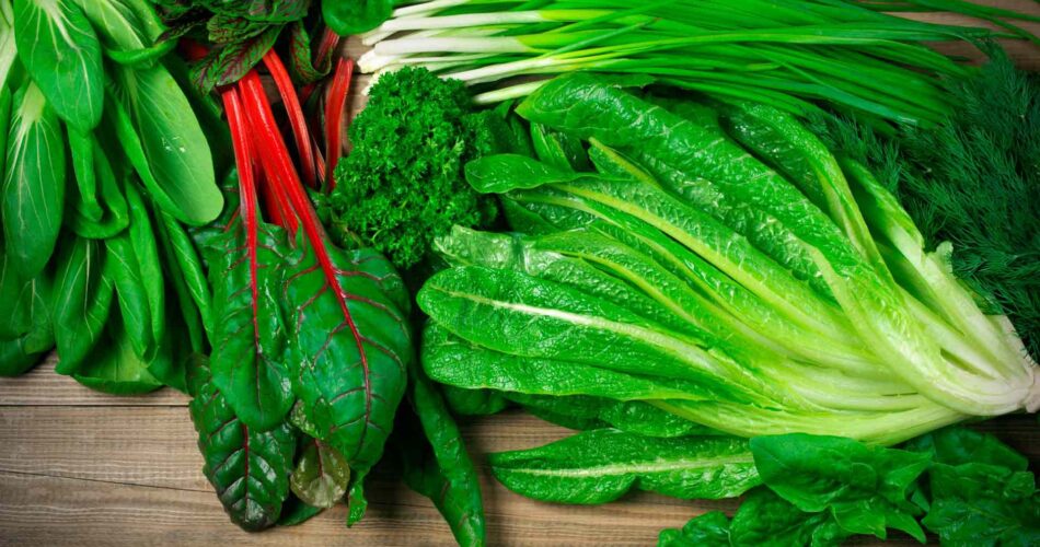 9 Great Vegetable and other Plant Based Sources of Iron